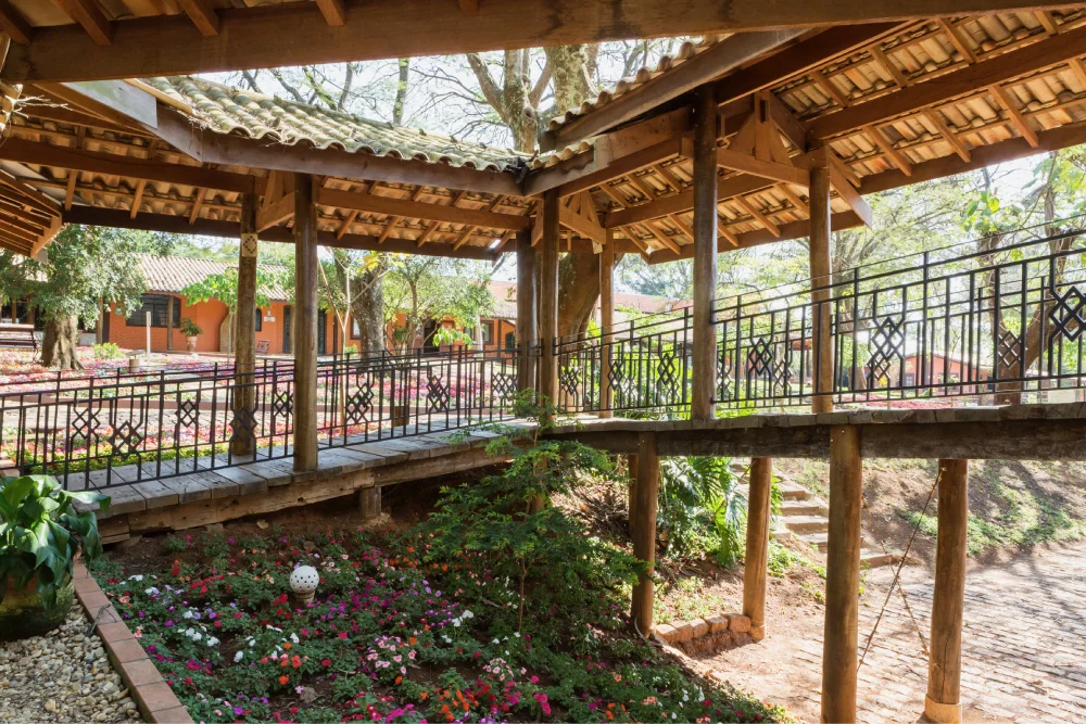Apartamentos Orquídea